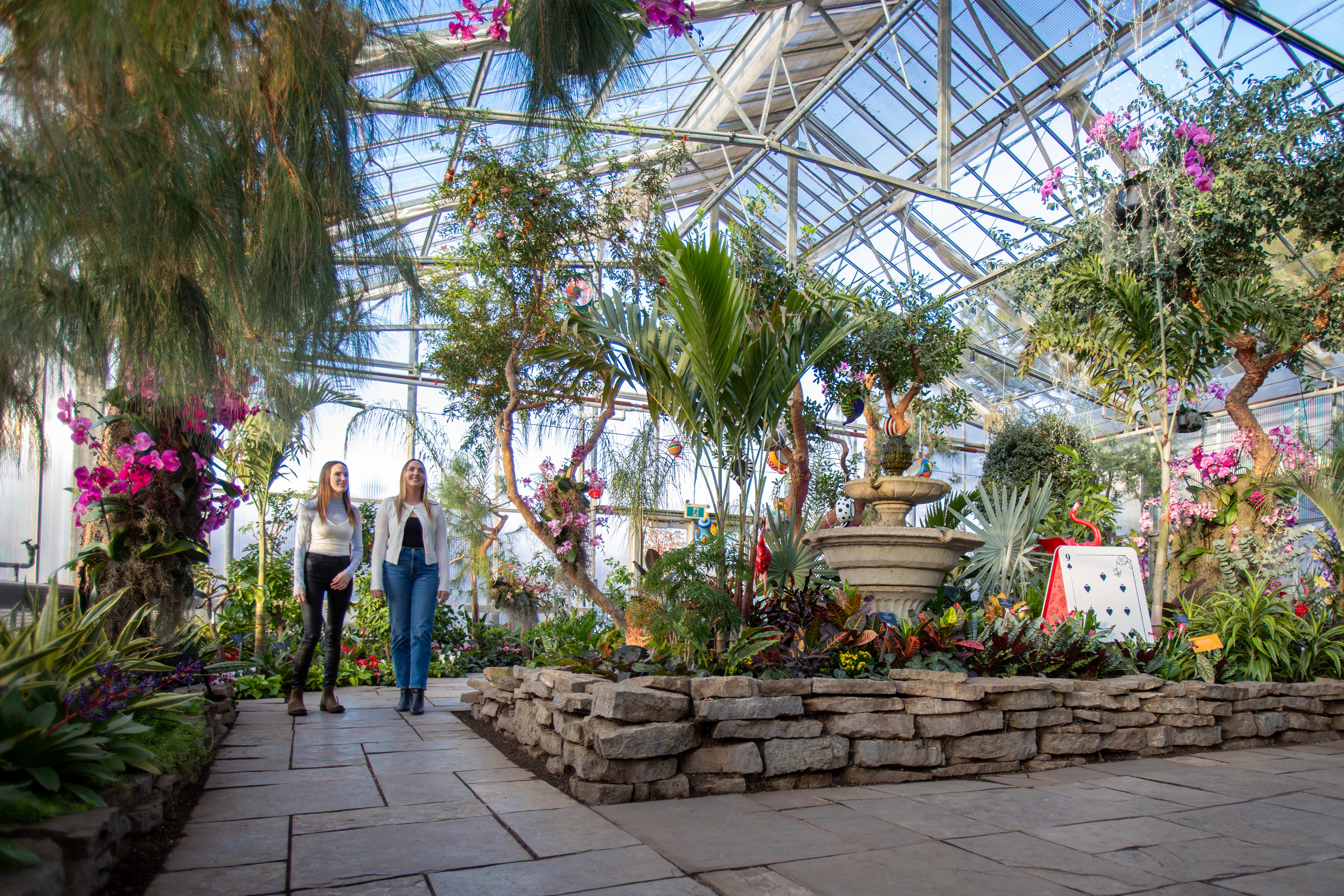 Alice in Bloomland indoor garden